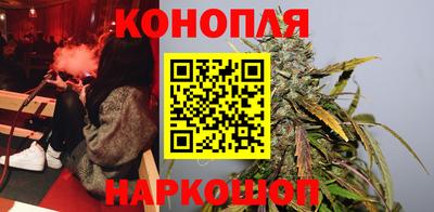 Альфа ПВП Донецк